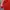 Adidas Luxury Minimalist Hoody Pria red photo 3