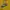 Nike Luxury Minimalist Hoody Pria yellow photo 2