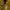 Nike Luxury Minimalist Hoody Pria yellow photo 5