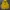 Nike Luxury Minimalist Hoody Pria Yellow