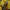 Nike Luxury Minimalist Hoody Pria yellow photo 4