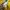 Nike Luxury Minimalist Hoody Pria yellow photo 6