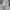 Nike Luxury Minimalist Hoody Pria gray photo 6