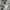 Nike Luxury Minimalist Hoody Pria gray photo 4