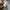 Nike Luxury Minimalist Hoody Pria gray photo 5