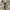Polo Ralph Lauren Vintage Casual Harrington jacket Pria tan photo 4