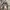 Polo Ralph Lauren Vintage Casual Harrington jacket Pria tan photo 5