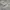 Bershka Streetwear Sportswear Jersey Pria white black photo 3