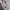 Japanese brand Streetwear Sportswear Hoody Pria gray photo 1