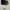 Nike Sportswear Sneakers Pria gold navy photo 3