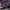 Grunge Goth Sweatshirt Wanita purple photo 5