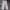 Giordano Luxury Formal pants Pria silver white photo 2