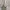 Minimalist Wanita white photo 1