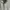 Diamond Supply Co. Streetwear Skater Hoody Pria gray photo 3