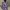 Cosplay Casual Kimono Wanita blue photo 1