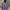 Cosplay Casual Kimono Wanita Blue