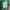 Moncler Sportswear Windbreaker Wanita green photo 5