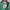 Moncler Sportswear Windbreaker Wanita green photo 4