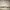 Fear of God ESSENTIALS Streetwear Casual shirt Pria white photo 2