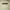 Fear of God ESSENTIALS Streetwear Casual shirt Pria white photo 4