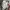 Acne Studios Luxury Sweater Pria gray photo 5