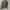 Acne Studios Luxury Sweater Pria gray photo 1