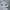 Vanson Luxury Casual Polo shirt Pria white photo 3