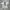 Vanson Luxury Casual Polo shirt Pria white photo 8