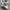 Vanson Luxury Casual Polo shirt Pria white photo 7