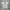 Vanson Luxury Casual Polo Shirt Pria White