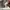 Luxury Jumper Pria gray photo 7