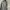 Luxury Jumper Pria Gray