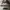 Luxury Jumper Pria gray photo 5