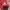 Adidas Casual Brief Pria red photo 3