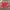 Adidas Casual Brief Pria red photo 1