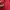 The North Face Sportswear Track jacket Wanita red photo 6