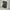 Y2K Grunge Short Pria multicolor photo 8