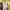 Jil Sander Luxury Casual Shirt Wanita yellow photo 8