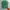 GAP Luxury T-shirt Pria green photo 1