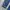 Evisu Streetwear Y2K Jeans Pria blue photo 3
