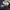 Burberry Luxury Casual Jumper Pria navy photo 6