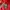 Nike ACG Sportswear Casual Track jacket Pria red photo 4