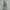 Biker Casual Bomber jacket Pria gray photo 5