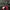 MLB Gorpcore Casual Varsity jacket Pria red photo 8