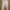 Casual Skinny jeans Wanita white photo 3