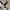 Ellesse Vintage Casual Fleece Pria white black photo 4