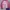 Sportswear Windbreaker Wanita pink photo 1