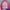 Sportswear Windbreaker Wanita Pink