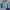 Sportswear Windbreaker Wanita blue photo 1