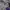Spalding Sportswear Windbreaker Pria gray photo 2